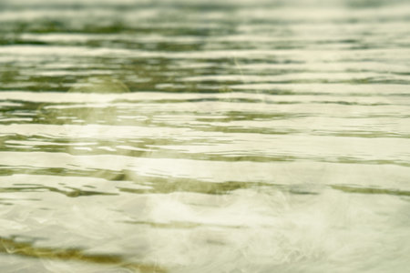 The swamp water is calm and still, with ripples forming on the surface. The image is a scary and creepy scene. Mockup. Copy Space. Wallpaper or Halloween backgroundの写真素材