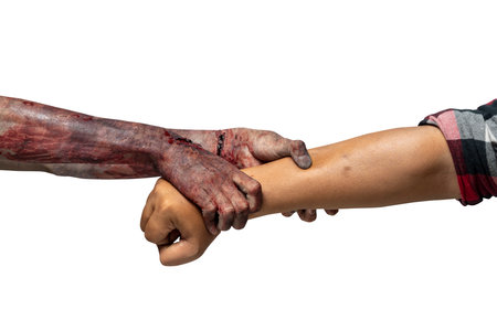 A zombie hand with a bloody wound grabs a human hand. Zombie, devil, evil, satan, or monster hands isolated over a white background. Spooky Halloween conceptの写真素材