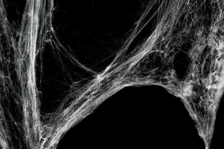 Spooky creepy cobweb spiders web covered a black background. Abstract halloween background. You can put mockup or copyspace for product hereの写真素材