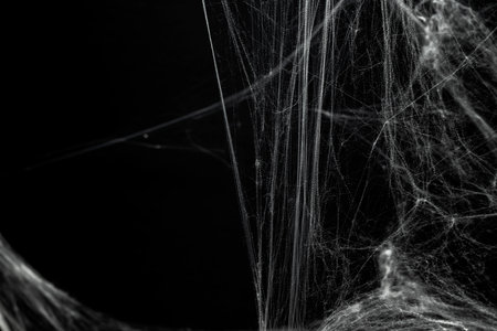 Spooky creepy cobweb spiders web covered a black background. Abstract halloween background. You can put mockup or copyspace for product hereの写真素材