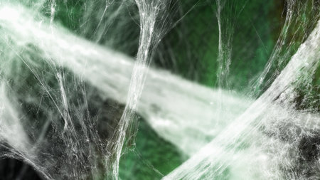 Spooky creepy cobweb spider web in the green dark room. The scene is somewhat scary and mysterious. Mockup. Copy Space. Wallpaper or abstract green halloween or zombie backgroundの写真素材