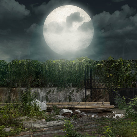 A green vines plant is growing on fence with large full moon. Scene is dark and creepy. Dramatic smoke or fog effect. Mockup. Copy Space. Wallpaper or Halloween backgroundの写真素材
