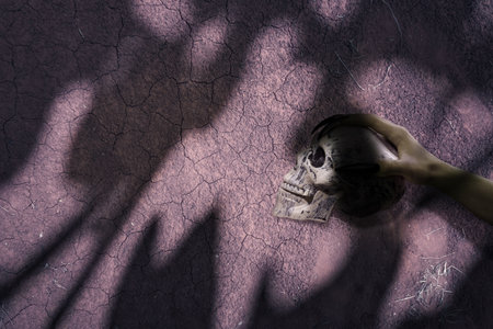 Witch hand with long black nail holding human head skull with grungy wall background, gives the image a spooky and scary mood. Evil, satan, zombie or monster hand. Spooky Halloween conceptの写真素材