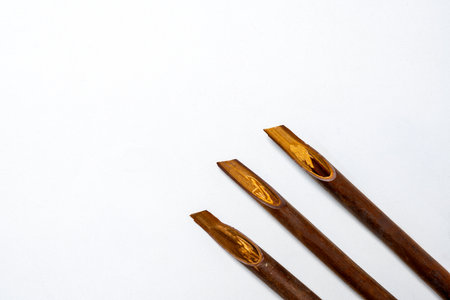 Set of calligraphy reeds isolated over white background. Reeds pen ink for writing Arabic calligraphyの写真素材