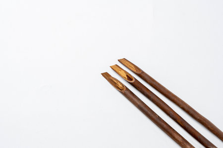 Set of calligraphy reeds isolated over white background. Reeds pen ink for writing Arabic calligraphyの写真素材