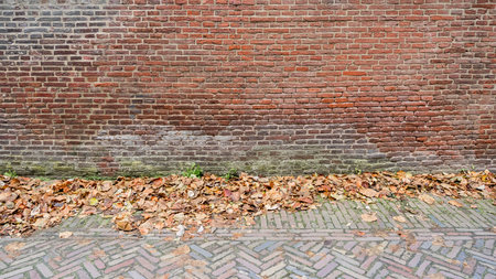 Closeup view of the red floor and wall. Abstract pattern of a brick wall and floor. Mockup. Copy space. Wallpaper or texture backgroundの写真素材