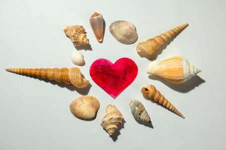Red heart with seashells surrounding it on a white background. Copy space. Mockup. Valentine Card. Decoration for Valentine celebrationの写真素材