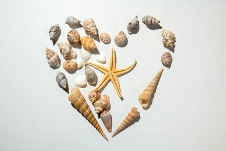 The heart shape of starfish and seashells on a white background. Decoration for Valentine celebrationの写真素材