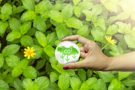 Woman hand shows a sign of carbon reduction for decreased CO2. Concepts of environmental protection, climate change, global warming, or net zero carbon neutralの写真素材