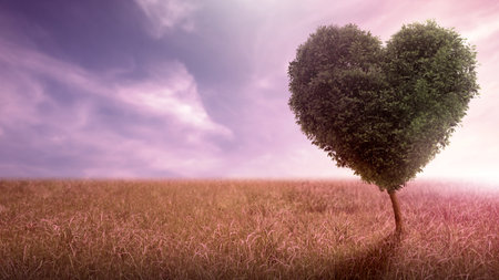 Beautiful landscape of lavender field and tree with a heart shape in the dramatic sky background. Copy space. Decoration for Love or Valentine Day backgroundの写真素材