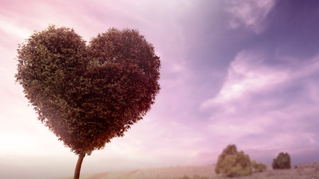 View of a tree with a heart shape in the dramatic sky background. Copy space. Decoration for Love or Valentine Day backgroundの写真素材