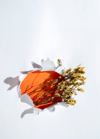 Closeup view of dried flower on a ripped paper with a colored background. Copy space. Flat lay. Nature, floral background, or wallpaperの写真素材