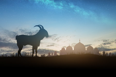 Silhouette of the mosque and a goat on the field with a sunrise scene background. Eid al Adha conceptの写真素材