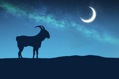 Silhouette of a goat on the field with a crescent moon on a night background. Eid al Adha conceptの写真素材
