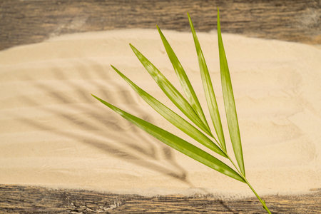 Sand with abstract texture and green palm leaf on a wooden background. Beach scene. Summer conceptの写真素材