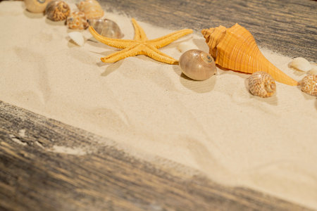 Starfish and seashells on the sand with a wooden background. Beach scene. Summer conceptの写真素材