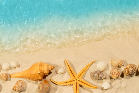 Aerial view of clean and transparent blue ocean waves with starfish and seashells on a beautiful sandy beach. Natural background. Summer conceptの写真素材
