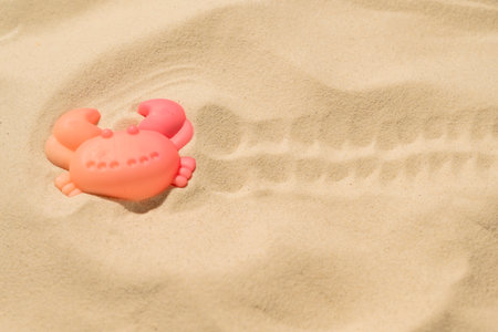 Footprint of a crab beach toy on a beautiful sandy beach. Natural background. Summer concept. Top...