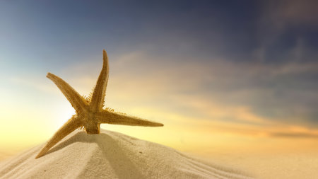 Starfish on a beautiful sandy beach with a sunset scene. Natural background. Summer conceptの写真素材