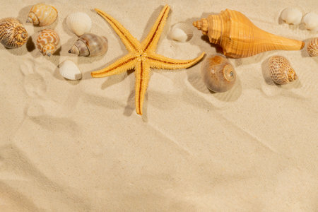 Starfish and seashells on a beautiful sandy beach. Natural background. Summer concept. Top view. Copy spaceの写真素材