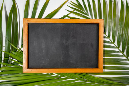 Blank chalkboard with tropical palm leaf on white background. Mockup or copy space. Summer conceptの写真素材