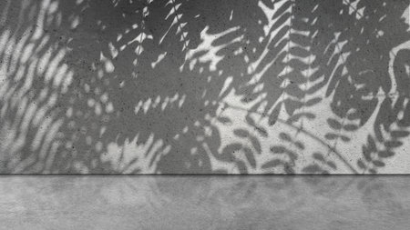 Interior of a modern and minimalist studio with the shadow of a palm leaf on a gray wall with a bright floor background. Mockup or copy space. Empty backdrop podium for product or text displayの写真素材