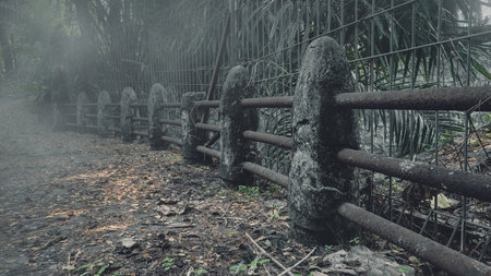 View of the old stone bridge path disappearing into the dense fog of a forest. The scene is scary and mysterious. Dramatic smoke or fog effect. Copy Space. Backgroundの写真素材