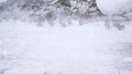Winter scene with snowfall descending upon a snowy field and covering the ground and trees. Seasonal...