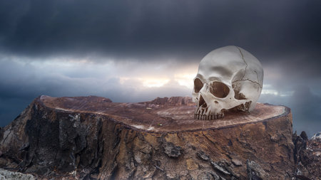 Closeup view of a human head skull on a tree stump surface with dark and dramatic cloudscape...