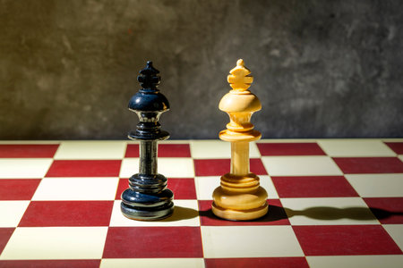 Closeup view of black and white chess kings on a chessboard. Concept of strategy or competition