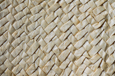 A detailed macro shot showing the intricate pattern and texture of a light beige natural woven...