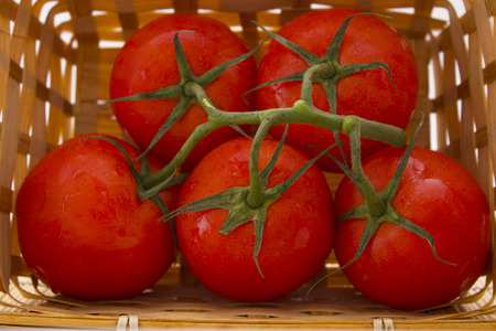 a basket of tomatoes with a sprig. healthy foodの写真素材
