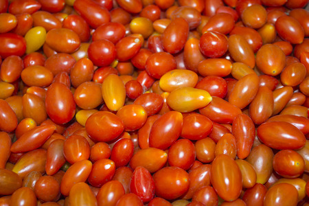 Lots of cherry tomatoes. tomato background の写真素材