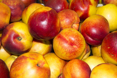 Nectarine close up. Nectarine background. Fresh Organic Nectarines. Heap Of Fresh Ripe Nectarinesの写真素材