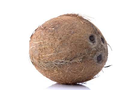 Coconut on a white backgroundの写真素材