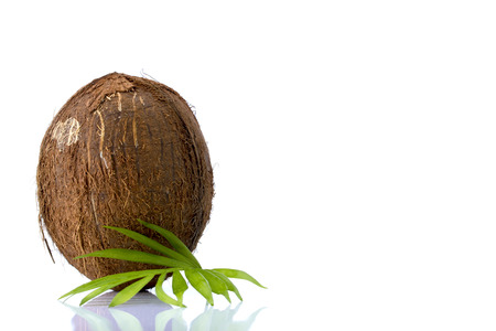 Coconut with leaves on a white backgroundの写真素材