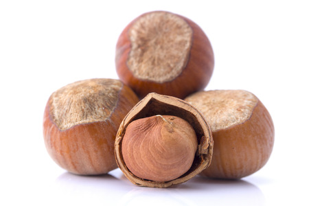 nuts, hazelnuts isolated on white backgroundの写真素材