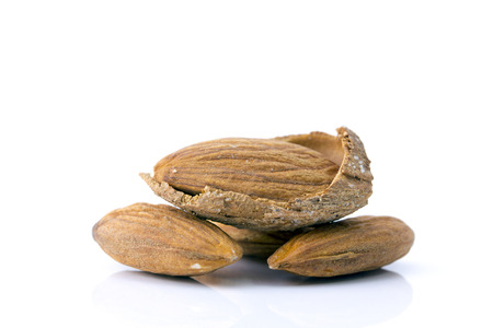 Almond  isolated on white backgroundの写真素材