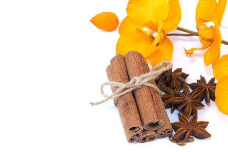 Cinnamon sticks, star anise and orchid isolated over a white backgroundの写真素材