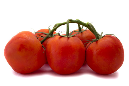 tomatoes with sprigs isolated on white background. healthy foodの写真素材