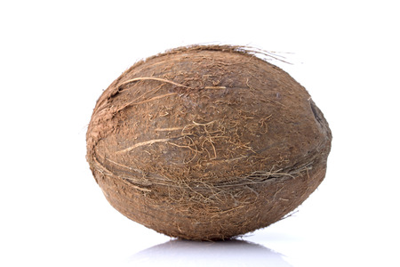 Coconut on a white backgroundの写真素材