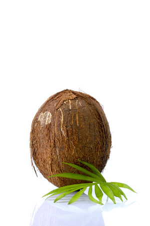 Coconuts with leaves on a white backgroundの写真素材