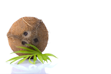 Coconut with leaves on a white backgroundの写真素材