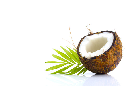 Coconuts with leaves on a white backgroundの写真素材