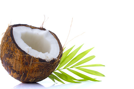 Coconut with leaves on a white backgroundの写真素材