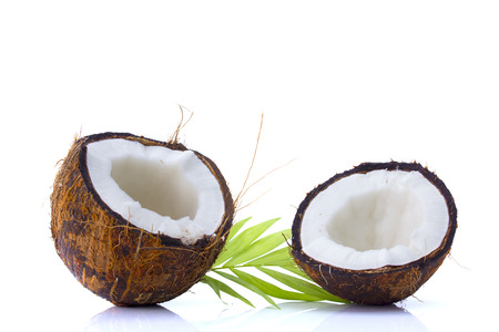 Coconuts with leaves on a white backgroundの写真素材