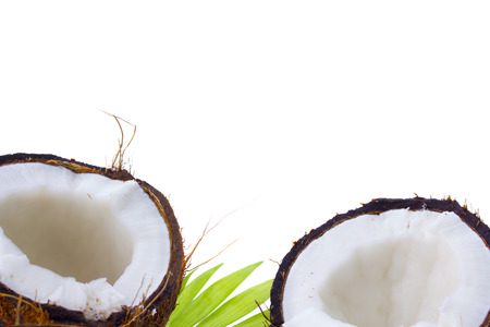 Coconuts with leaves on a white backgroundの写真素材
