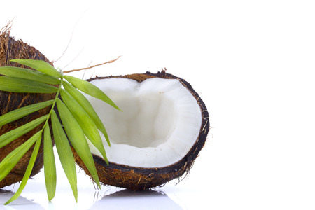 Coconuts with leaves on a white backgroundの写真素材
