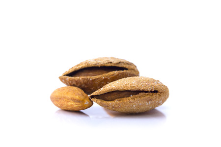 Almond  isolated on white background. Macroの写真素材