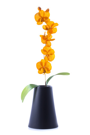 orange streaked orchid flower with leaf in pot, isolated in whiteの写真素材